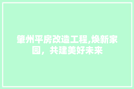 肇州平房改造工程,焕新家园，共建美好未来 墙体维修