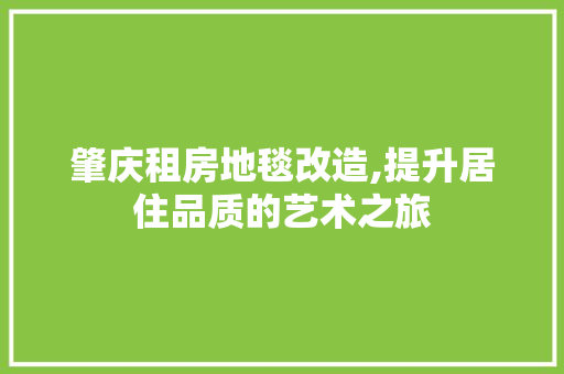肇庆租房地毯改造,提升居住品质的艺术之旅 汽车维修