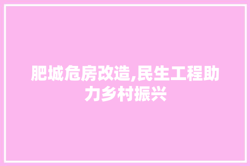 肥城危房改造,民生工程助力乡村振兴