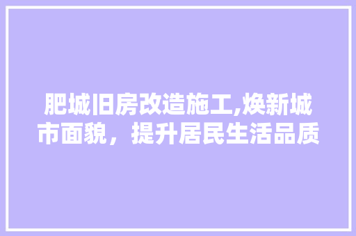 肥城旧房改造施工,焕新城市面貌，提升居民生活品质 家电维修