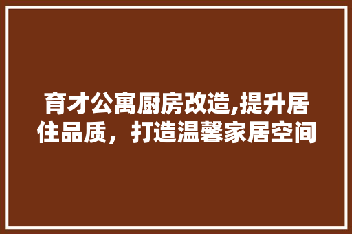 育才公寓厨房改造,提升居住品质，打造温馨家居空间