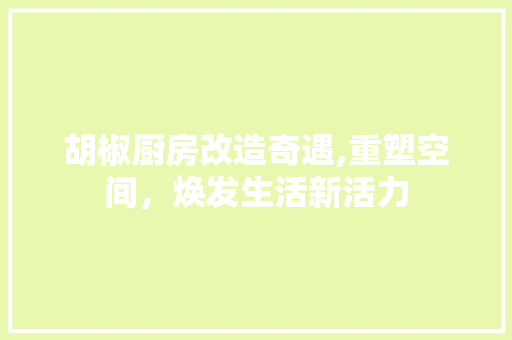 胡椒厨房改造奇遇,重塑空间，焕发生活新活力