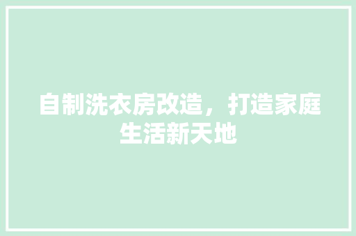 自制洗衣房改造，打造家庭生活新天地