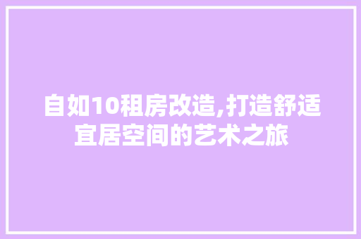 自如10租房改造,打造舒适宜居空间的艺术之旅
