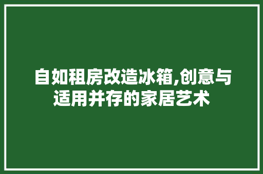自如租房改造冰箱,创意与适用并存的家居艺术