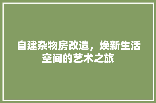 自建杂物房改造，焕新生活空间的艺术之旅