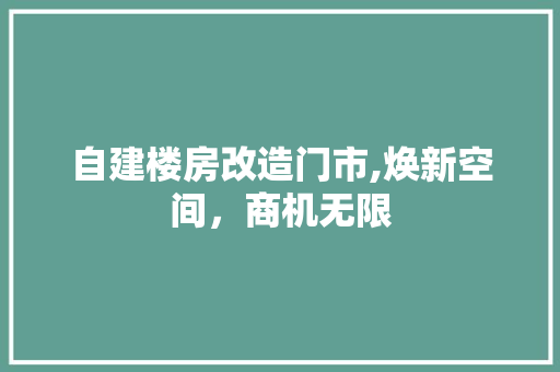 自建楼房改造门市,焕新空间，商机无限