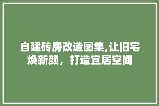自建砖房改造图集,让旧宅焕新颜，打造宜居空间