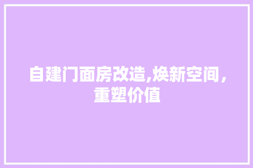 自建门面房改造,焕新空间，重塑价值