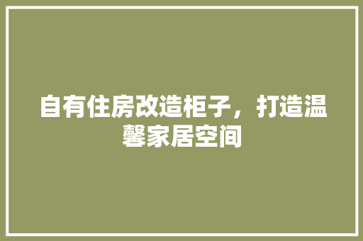 自有住房改造柜子，打造温馨家居空间