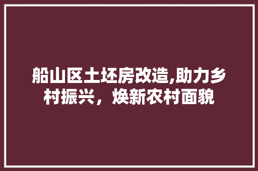 船山区土坯房改造,助力乡村振兴，焕新农村面貌 综合便民