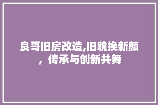 良哥旧房改造,旧貌换新颜，传承与创新共舞 综合便民