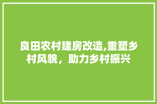 良田农村建房改造,重塑乡村风貌，助力乡村振兴
