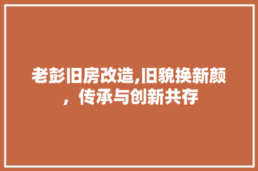老彭旧房改造,旧貌换新颜，传承与创新共存