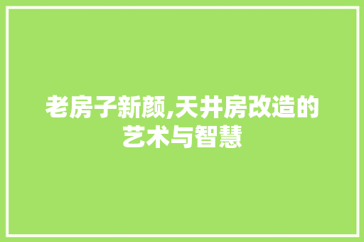 老房子新颜,天井房改造的艺术与智慧