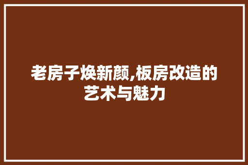 老房子焕新颜,板房改造的艺术与魅力