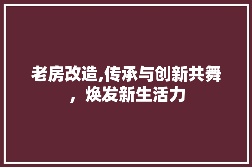 老房改造,传承与创新共舞，焕发新生活力