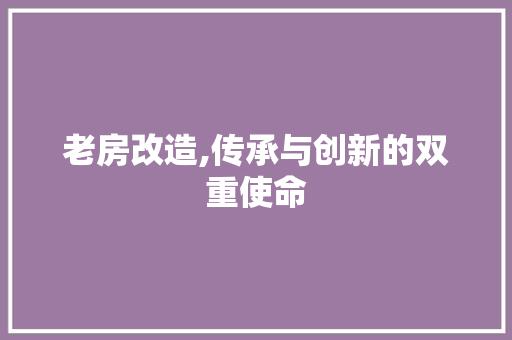 老房改造,传承与创新的双重使命 综合便民