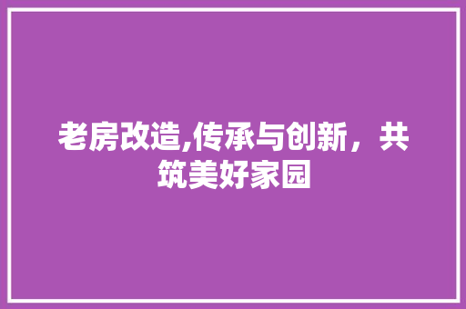老房改造,传承与创新，共筑美好家园