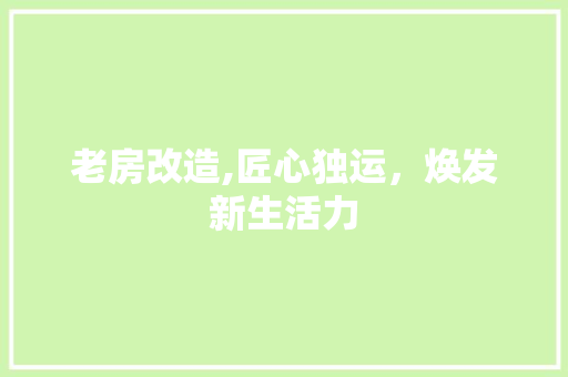 老房改造,匠心独运，焕发新生活力