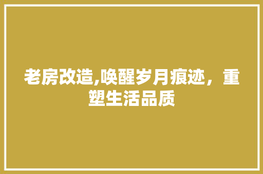 老房改造,唤醒岁月痕迹，重塑生活品质 汽车维修