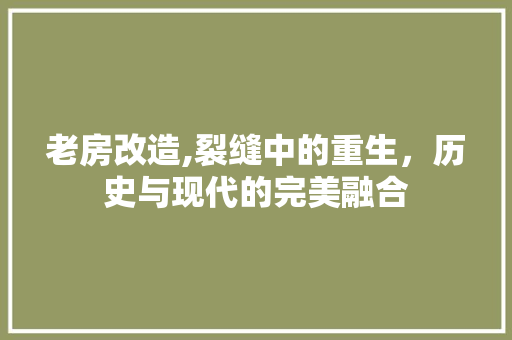 老房改造,裂缝中的重生，历史与现代的完美融合