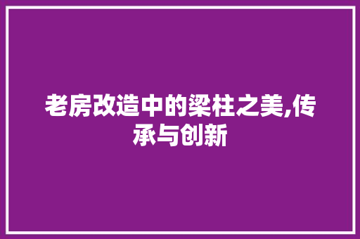 老房改造中的梁柱之美,传承与创新