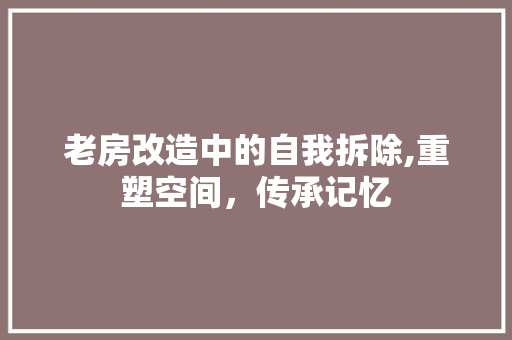 老房改造中的自我拆除,重塑空间，传承记忆