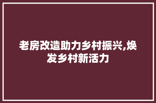 老房改造助力乡村振兴,焕发乡村新活力