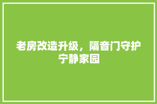 老房改造升级，隔音门守护宁静家园