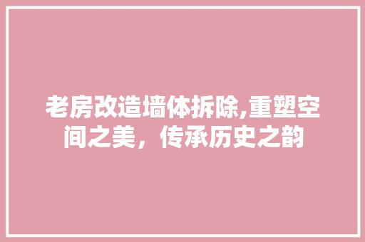 老房改造墙体拆除,重塑空间之美，传承历史之韵