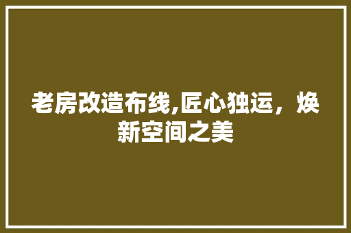 老房改造布线,匠心独运，焕新空间之美