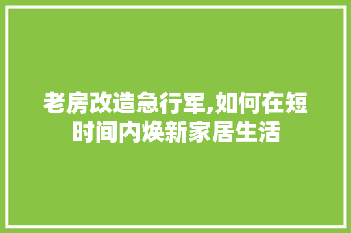 老房改造急行军,如何在短时间内焕新家居生活