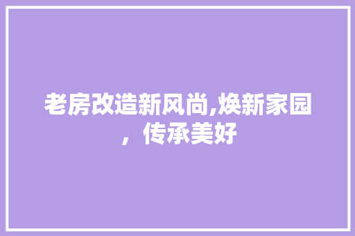 老房改造新风尚,焕新家园，传承美好 墙体维修