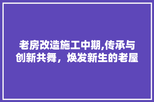 老房改造施工中期,传承与创新共舞，焕发新生的老屋故事