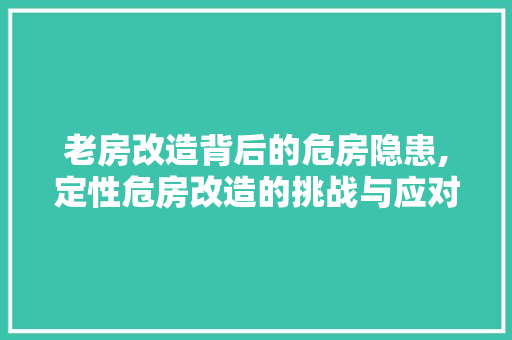 老房改造背后的危房隐患,定性危房改造的挑战与应对