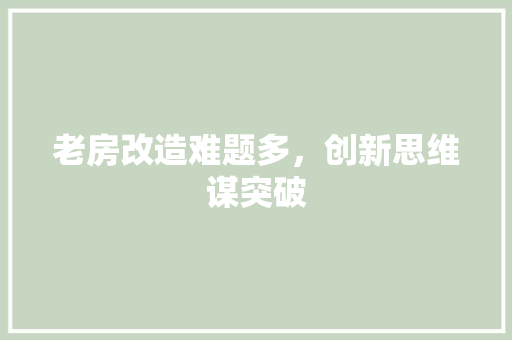 老房改造难题多，创新思维谋突破
