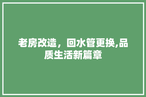 老房改造，回水管更换,品质生活新篇章 汽车维修