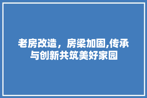 老房改造，房梁加固,传承与创新共筑美好家园