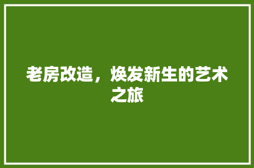 老房改造，焕发新生的艺术之旅 墙体维修