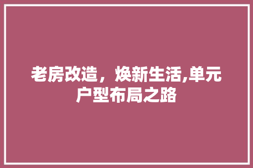 老房改造，焕新生活,单元户型布局之路