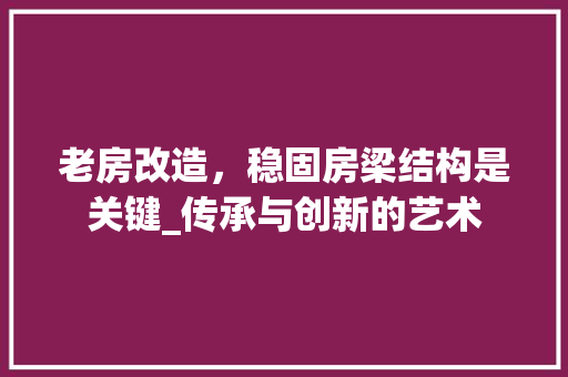 老房改造，稳固房梁结构是关键_传承与创新的艺术