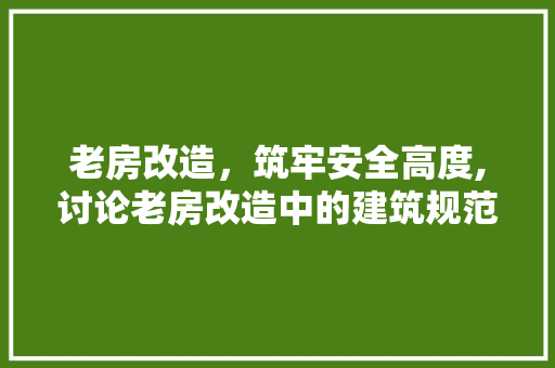 老房改造，筑牢安全高度,讨论老房改造中的建筑规范与要求