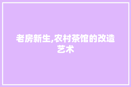 老房新生,农村茶馆的改造艺术 家电维修