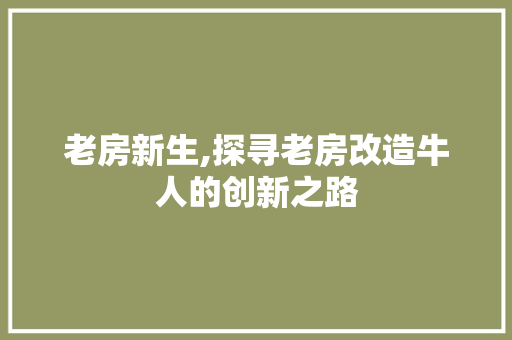 老房新生,探寻老房改造牛人的创新之路 家电维修