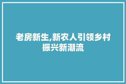 老房新生,新农人引领乡村振兴新潮流 厨房维修