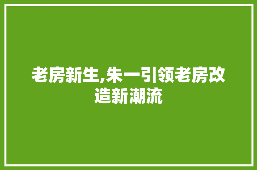 老房新生,朱一引领老房改造新潮流