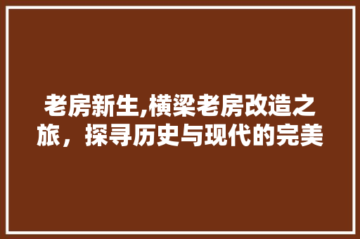老房新生,横梁老房改造之旅，探寻历史与现代的完美融合