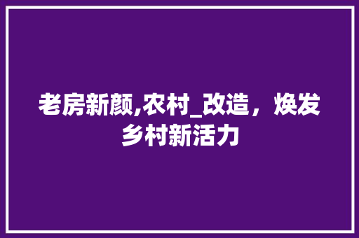 老房新颜,农村_改造，焕发乡村新活力