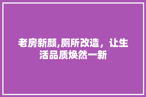 老房新颜,厕所改造，让生活品质焕然一新